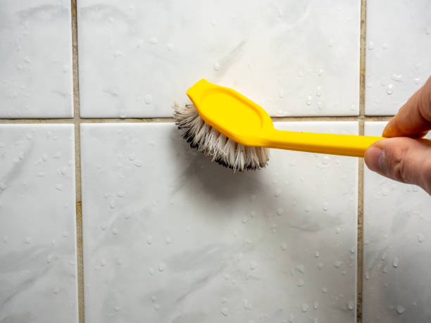 Best Water Damage Restoration  in La Grange, NC