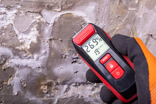 La Grange, NC Mold Removal Company